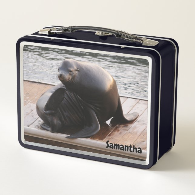 Sea Lion Metal Lunchbox (Back)