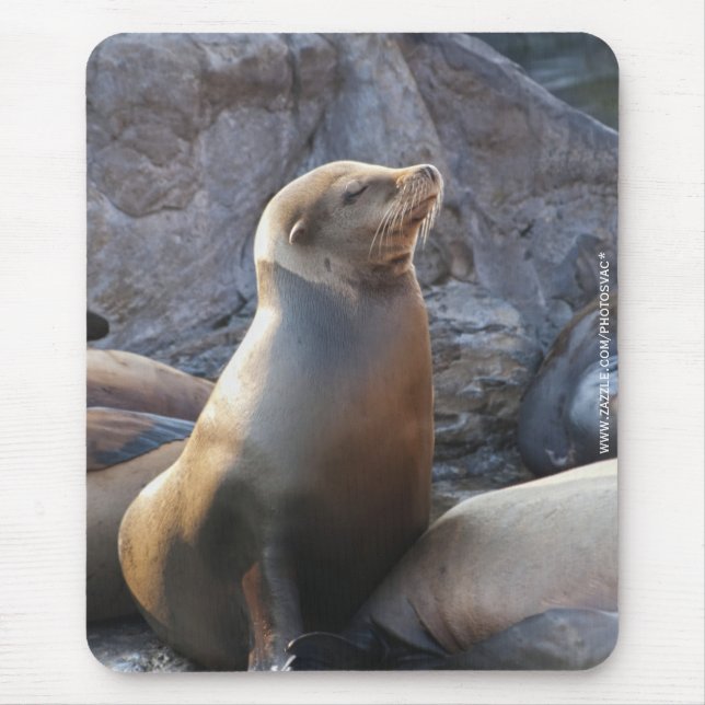 Sea Lion Mouse Mat (Front)