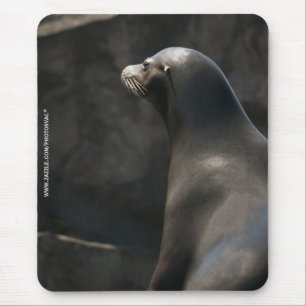 Sea Lion Mouse Mat