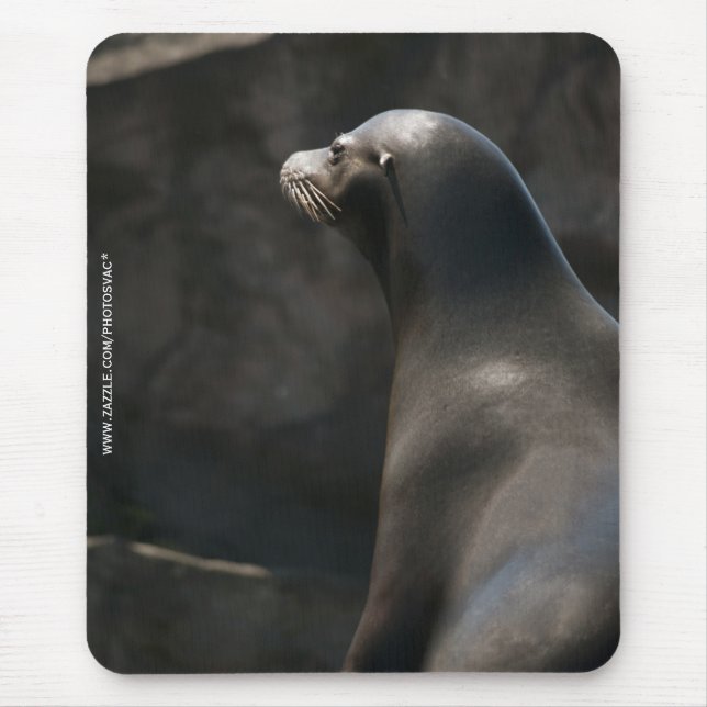 Sea Lion Mouse Mat (Front)