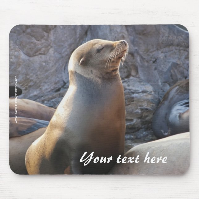 Sea Lion Mousepad (Front)