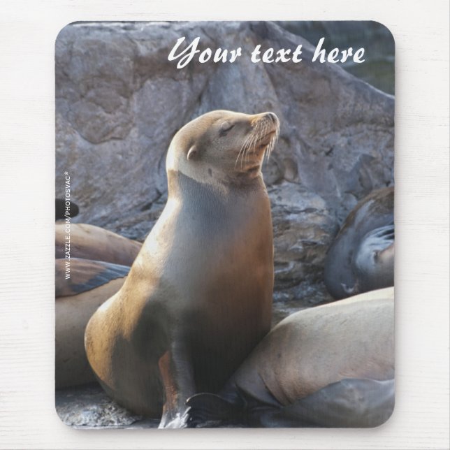 Sea Lion Mousepad (Front)