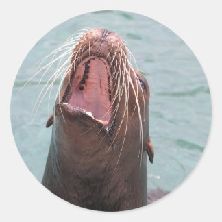 Sea Lion Mouth Open Sticker