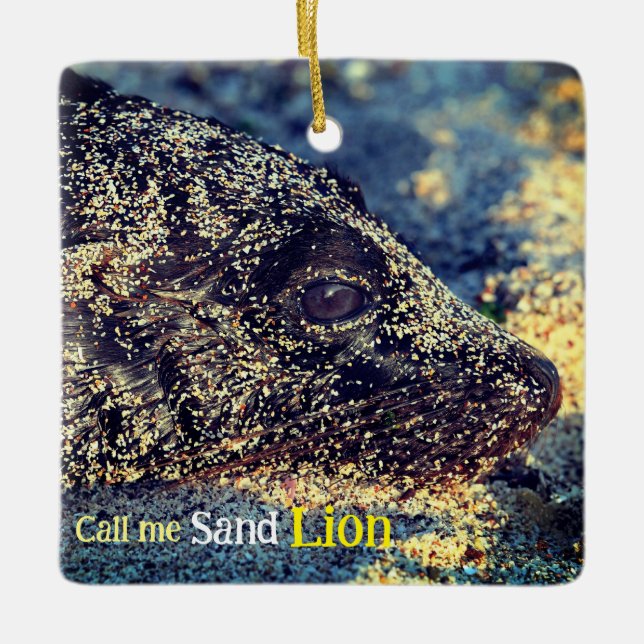 Sea Lion on Beach Ceramic Ornament (Front)
