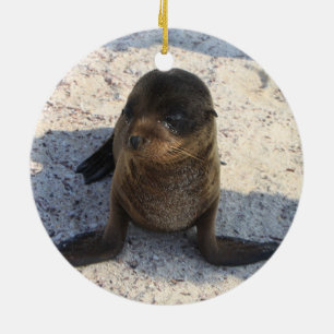 Sea Lion Ornament