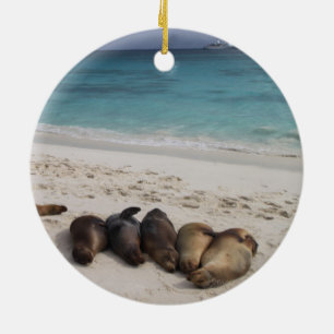 Sea Lion Ornament
