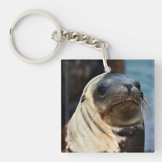 Sea Lion Portrait Key Ring (Front)
