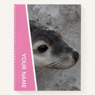 Sea Lion Pup Baby Face Closeup Australia, Pink Notebook
