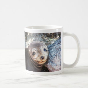 Sea lion pup, Isla Las Plazas, Galapagos Coffee Mug