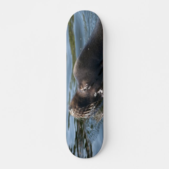 Sea Lion Skateboard (Front)