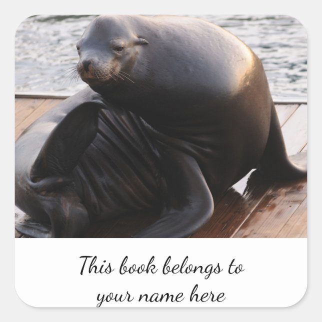 Sea Lion "This book belongs to" sticker (Front)