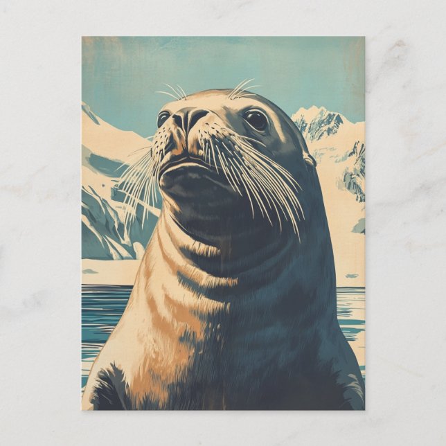 Sea Lion vintage  Postcard (Front)