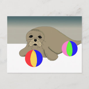 Sea  Lion with Beach Balls Postcard