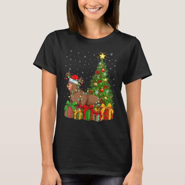 Sea Lion   Xmas Holiday Santa Sea Lion Christmas T T-Shirt (Front)