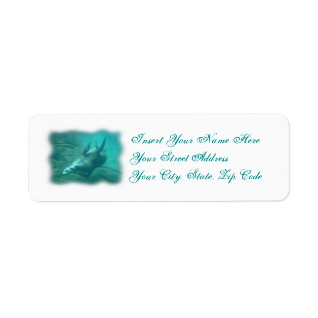 Sea Lions Customisable Labels (Front)