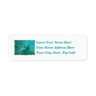 Sea Lions Customisable Labels 2