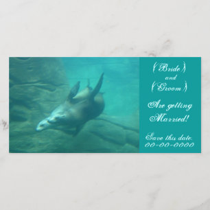 Sea Lions Customisable Save This Date Photo Card
