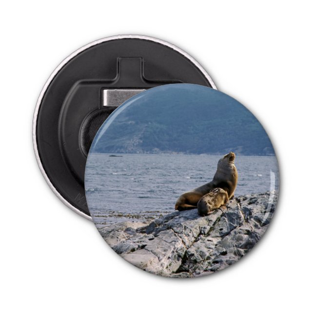 Sea lions in beagle channel - Argentina Bottle Opener (Front)