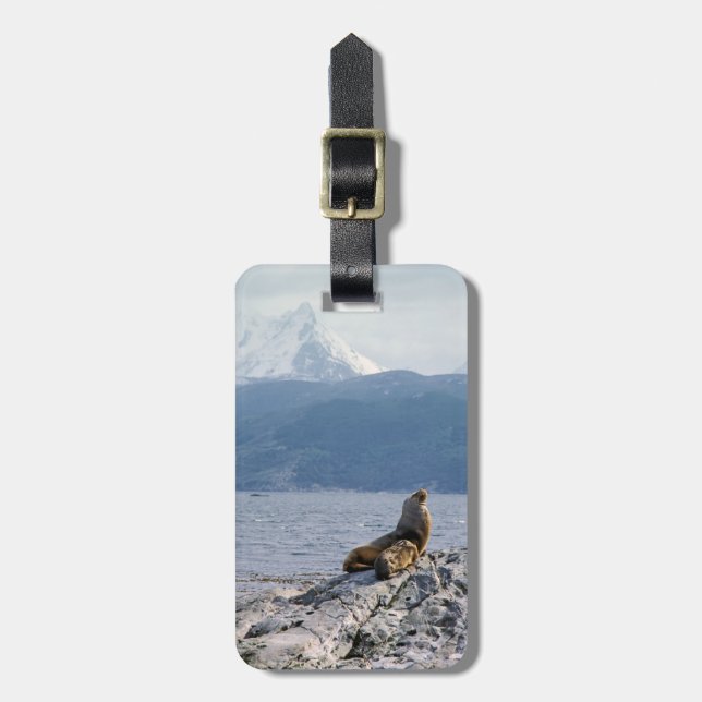 Sea lions in beagle channel - Argentina Luggage Tag (Front Vertical)