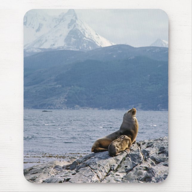 Sea lions in beagle channel - Argentina Mouse Mat (Front)