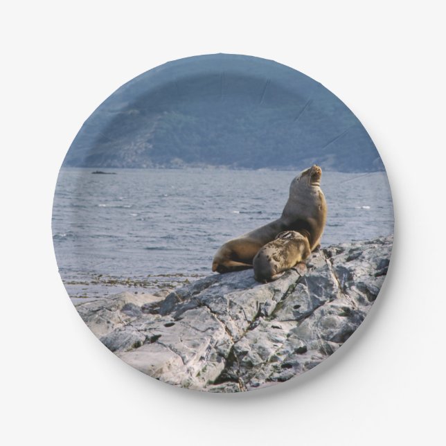 Sea lions in beagle channel - Argentina Paper Plate (Front)