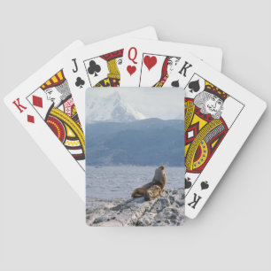 Sea lions in beagle channel - Argentina Playing Cards