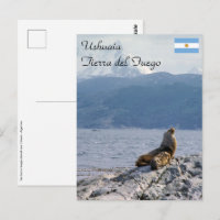 Sea lions in beagle channel - Argentina