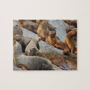 Sea lions in Patagonia, Chile Jigsaw Puzzle