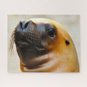 Sea Lions Jigsaw Puzzle