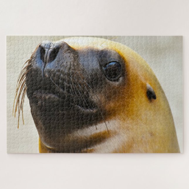 Sea Lions Jigsaw Puzzle (Horizontal)