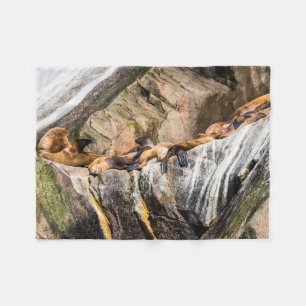 Sea Lions Laying On The Rocks Fleece Blanket