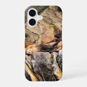 Sea Lions Laying On The Rocks iPhone 16 Case