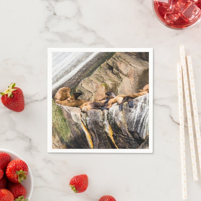 Sea Lions Laying On The Rocks Napkin (Insitu)