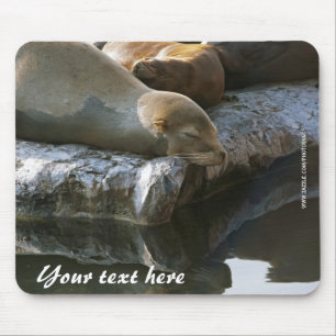 Sea Lions Mousepad