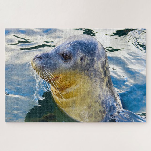Sea Lions of our seas Jigsaw Puzzle (Horizontal)