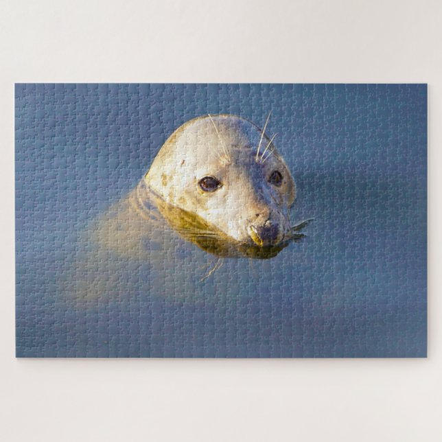 Sea Lions of our seas Jigsaw Puzzle (Horizontal)
