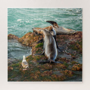 Sea Lions on Rocky Shore – Coastal Wildlife Art Jigsaw Puzzle