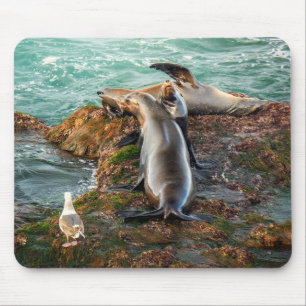 Sea Lions on Rocky Shore – Coastal Wildlife Art Mouse Mat