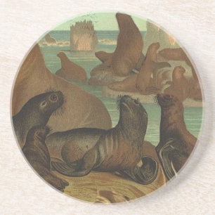 Sea Lions on the Beach, Vintage Marine Life Animal Coaster