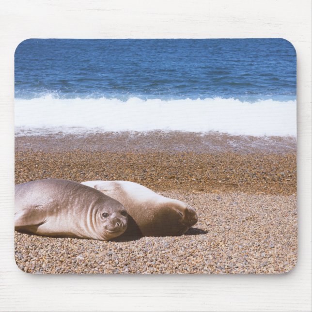 Sea Lions Resting on Beach Mouse Mat (Front)