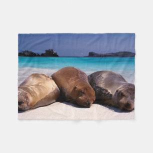 Sea Lions Sleeping On Beach   Ecuador Fleece Blanket