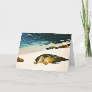 Sea Lions Spooning Card