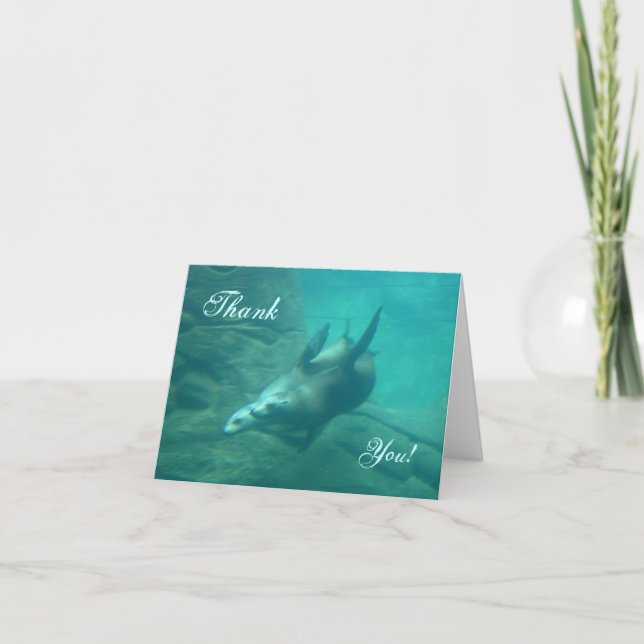 Sea Lions Thank You Card (Front)