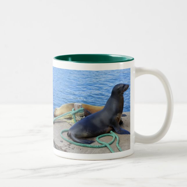 Sea Lions Two-Tone Coffee Mug (Right)