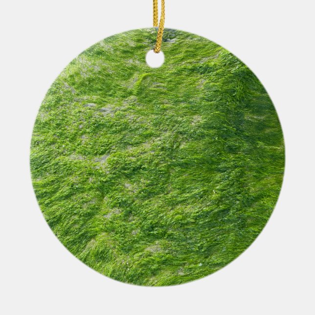 Sea Moss Green Nature Grass Beach Nautical Ceramic Tree Decoration (Front)
