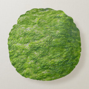 Sea Moss Green Nature Grass Beach Nautical Round Cushion