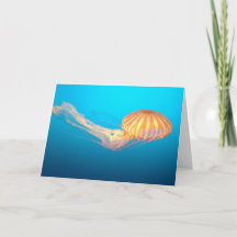 Sea nettle floating in blue water Thank You Card