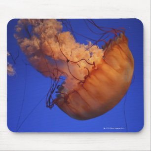 Sea nettle jellyfish mouse mat
