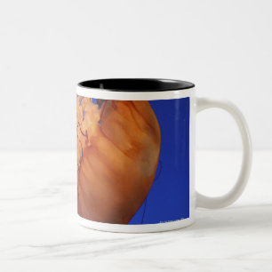 Sea nettle jellyfish Two-Tone coffee mug