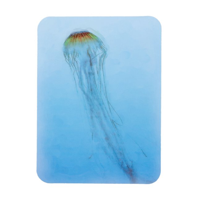 Sea Nettle Magnet (Vertical)